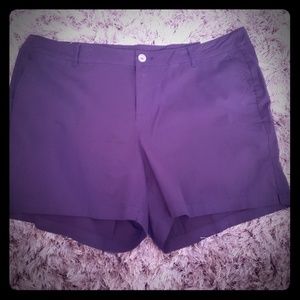 Lane Bryant Shorts
